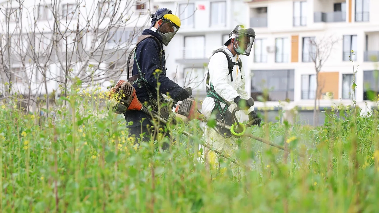Bahar Geldi Osmangazi'de Ot Temizliği Başladı