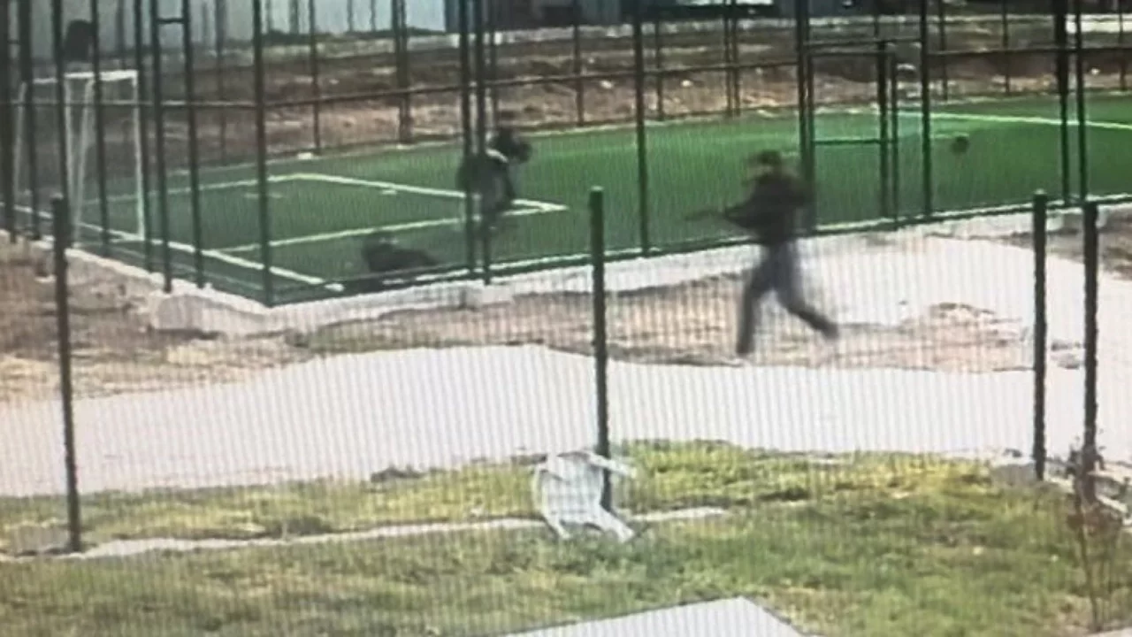 Parkta Pompalı Tüfekli Dehşet