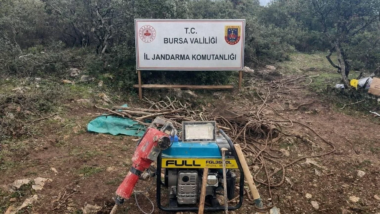 Bursa'da ormanlık alanda kaçak kazı: 2 gözaltı