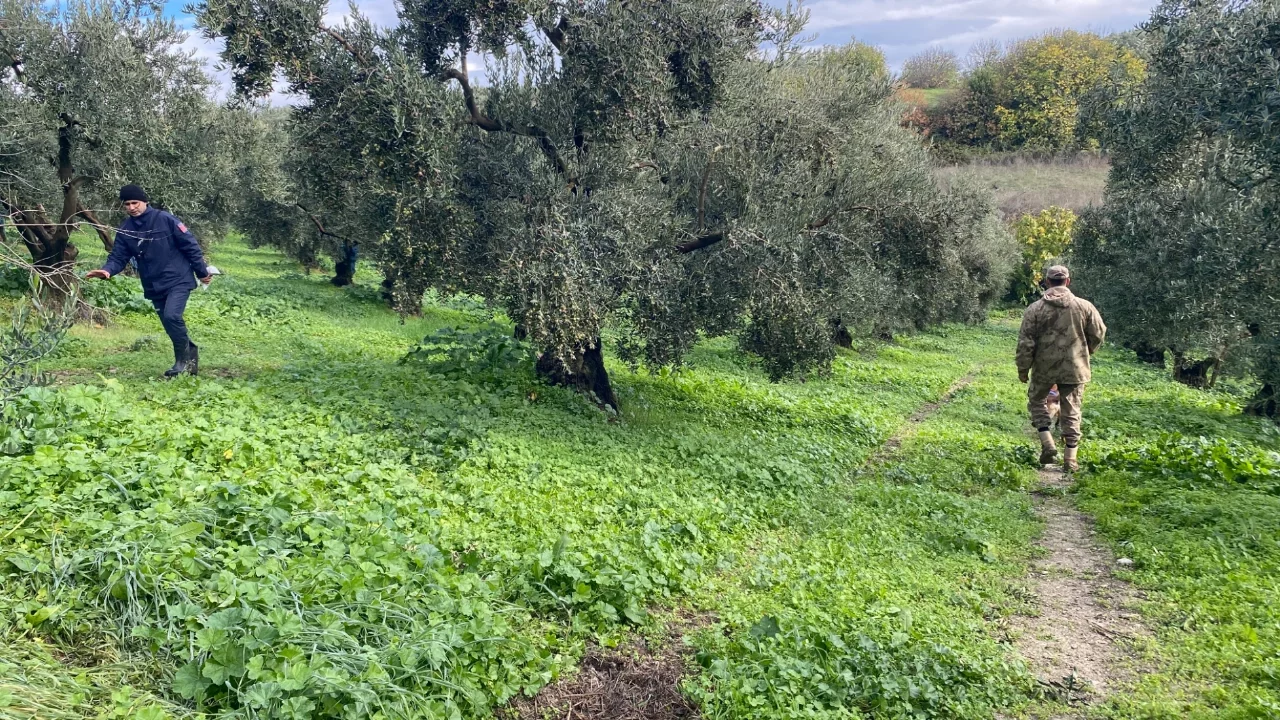 Bursa'da 80 Yaşındaki Alzheimer Hastası 4 Aydır Kayıp