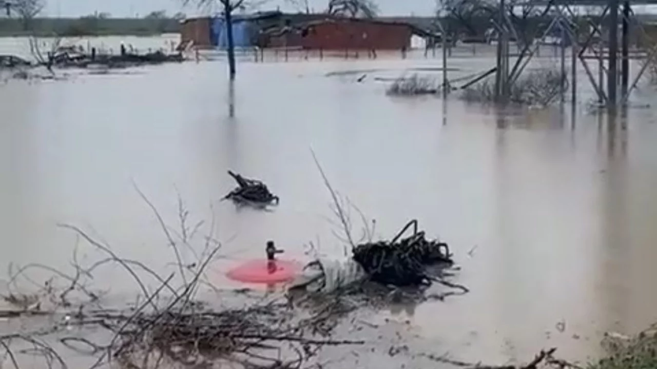 Bursa'da sağanak felaketi: Tarlalar su altında, hayvanlar kurtarıldı
