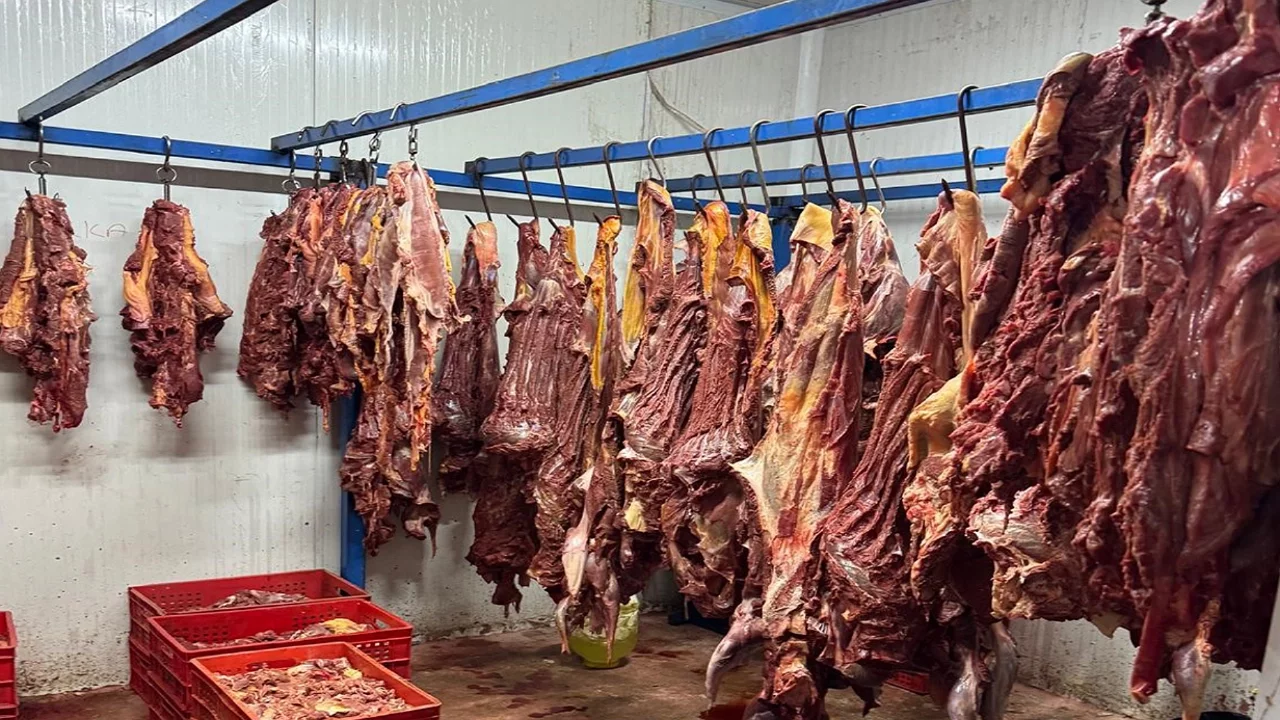 Bozulmuş etleri piyasaya süren 30 şüpheli gözaltına alındı
