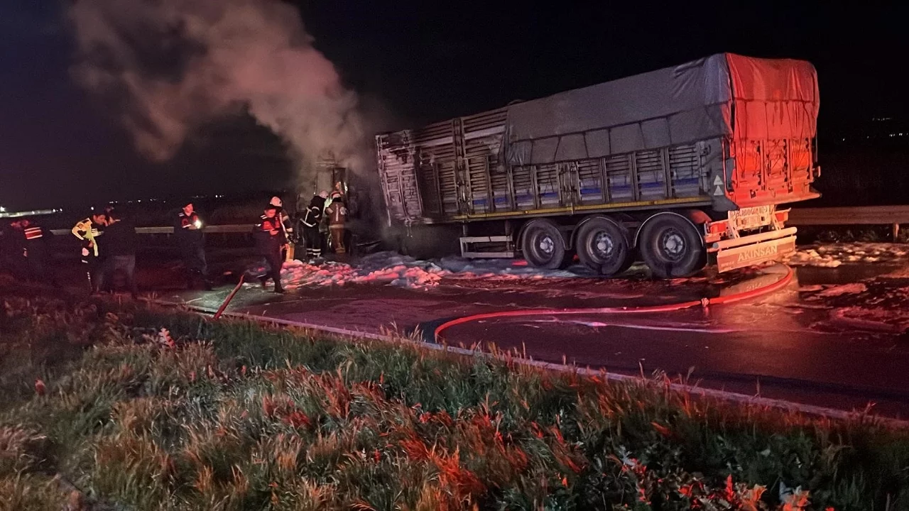 Bursa'da seyir halindeki tır alev alev yandı