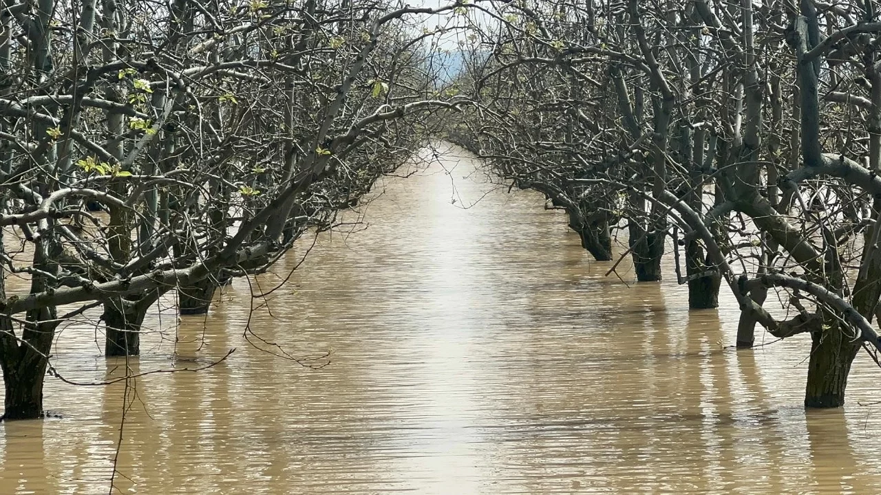 Bursa'da tarım arazileri sular altında: Çiftçi zor durumda