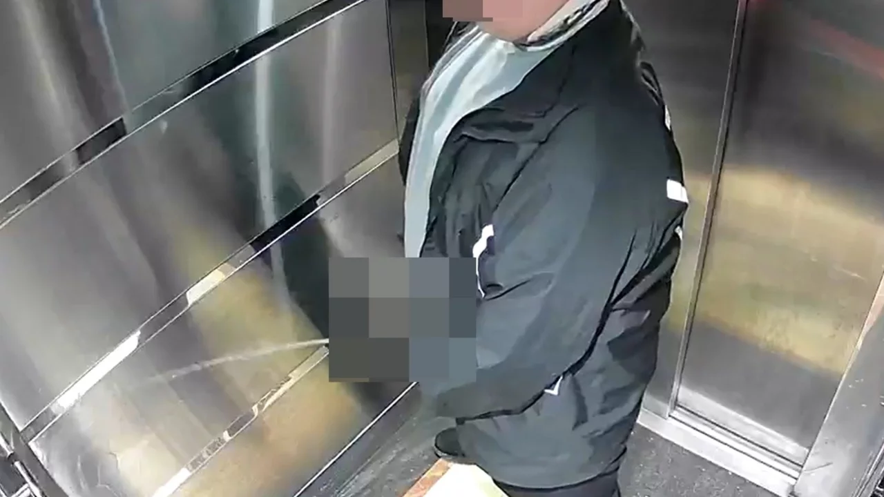 Pizzalı kuryeden skandal hareket: Asansöre tuvaletini yaptı