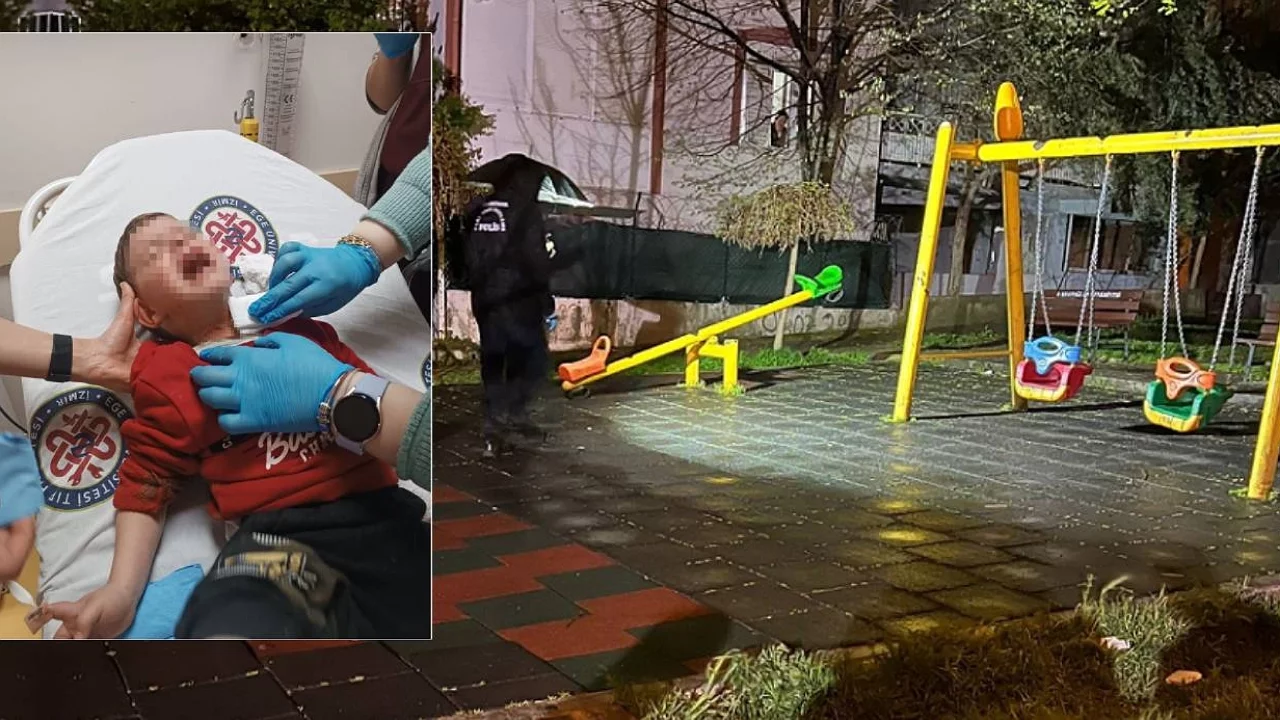 Parkta oynayan 2 yaşındaki çocuğa bıçaklı saldırı