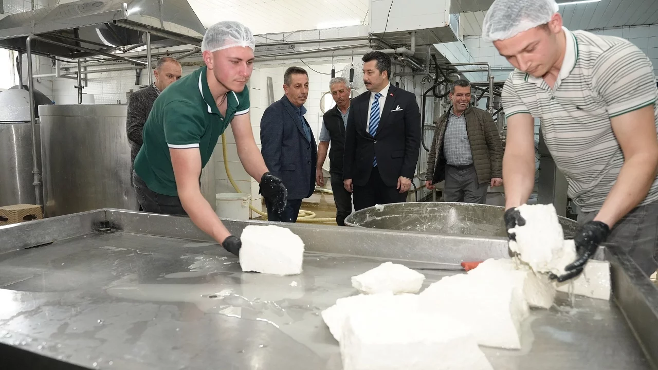 Her gün 3,5 ton sütten 12 çeşit peynir üretiyorlar