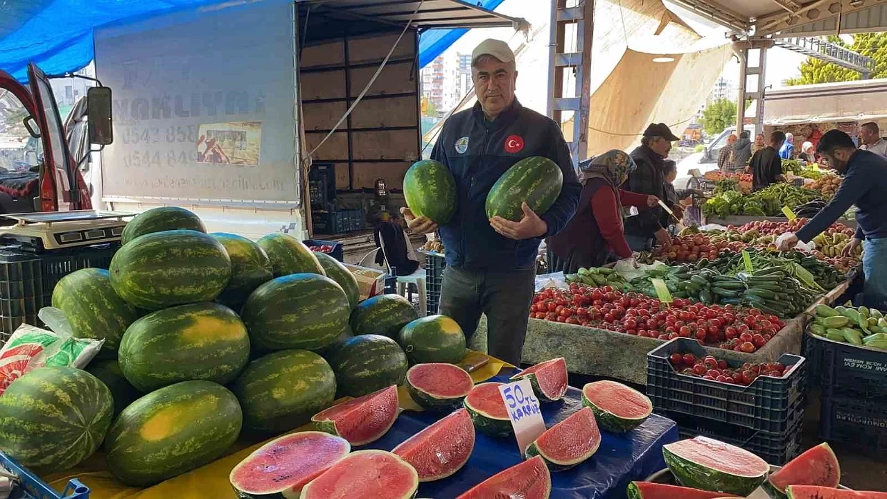 Karpuz pazara dilim dilim düştü: Kilosu 50 TL