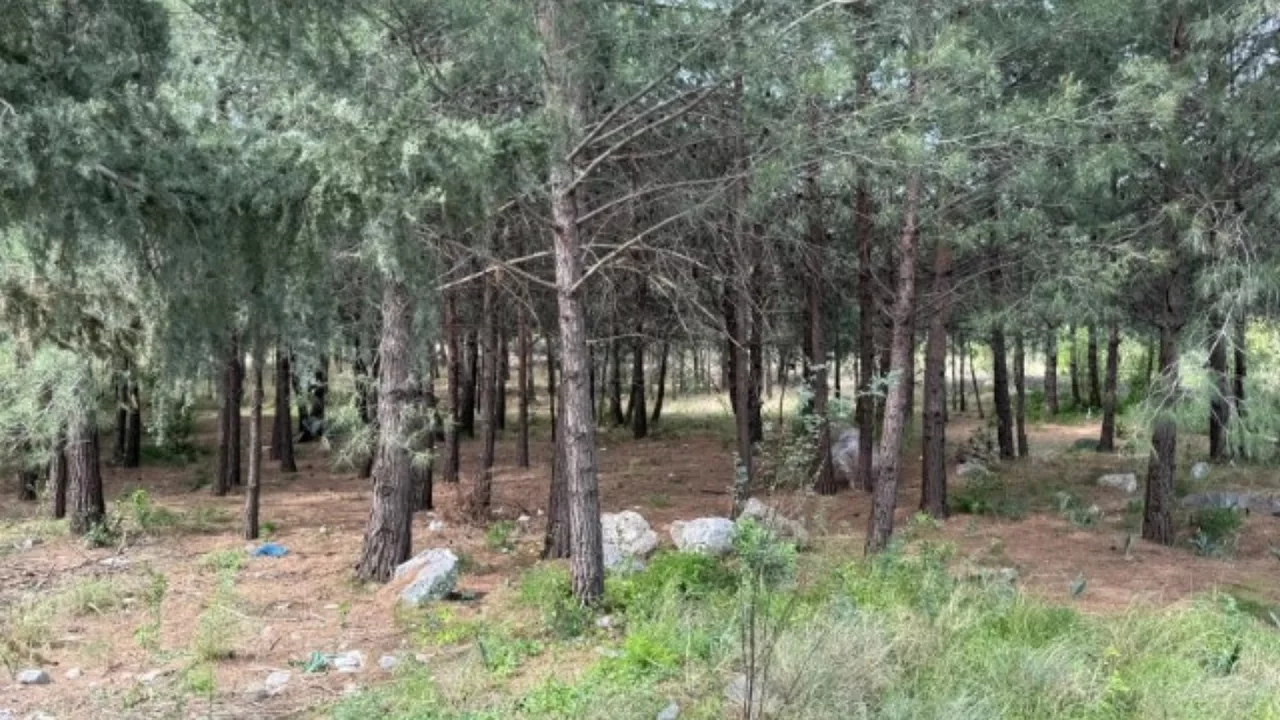 Korkunç cinayet: Anne ve oğul öldürülüp gömülmüş halde bulundu