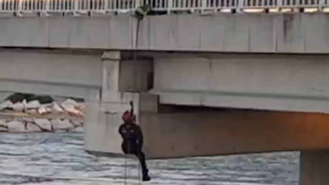 Bursa'da itfaiyeden güvercin kurtarma operasyonu