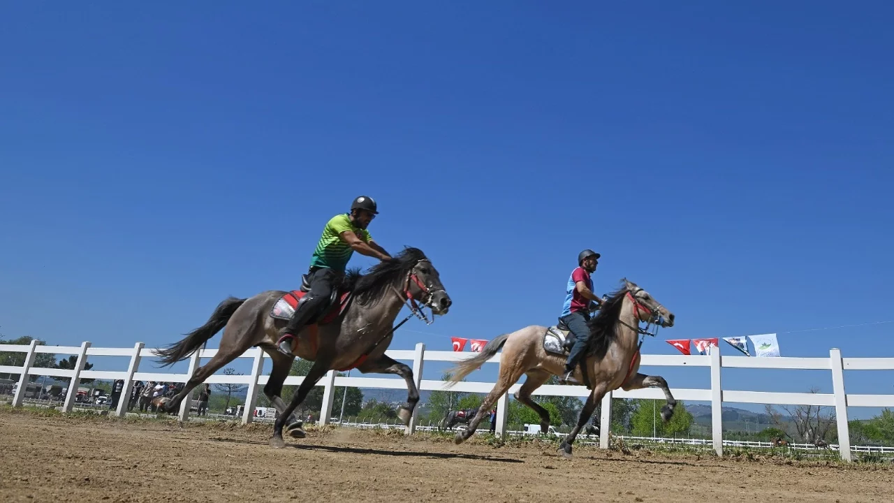 Osmangazi'de Geleneksel Rahvan At Koşusu coşkusu