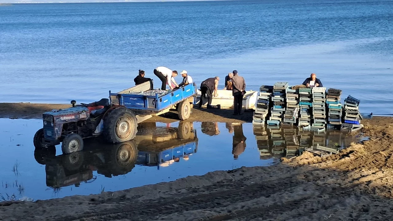 Bursa'da Gümüş Balığı Sezonu Bereketli Başladı