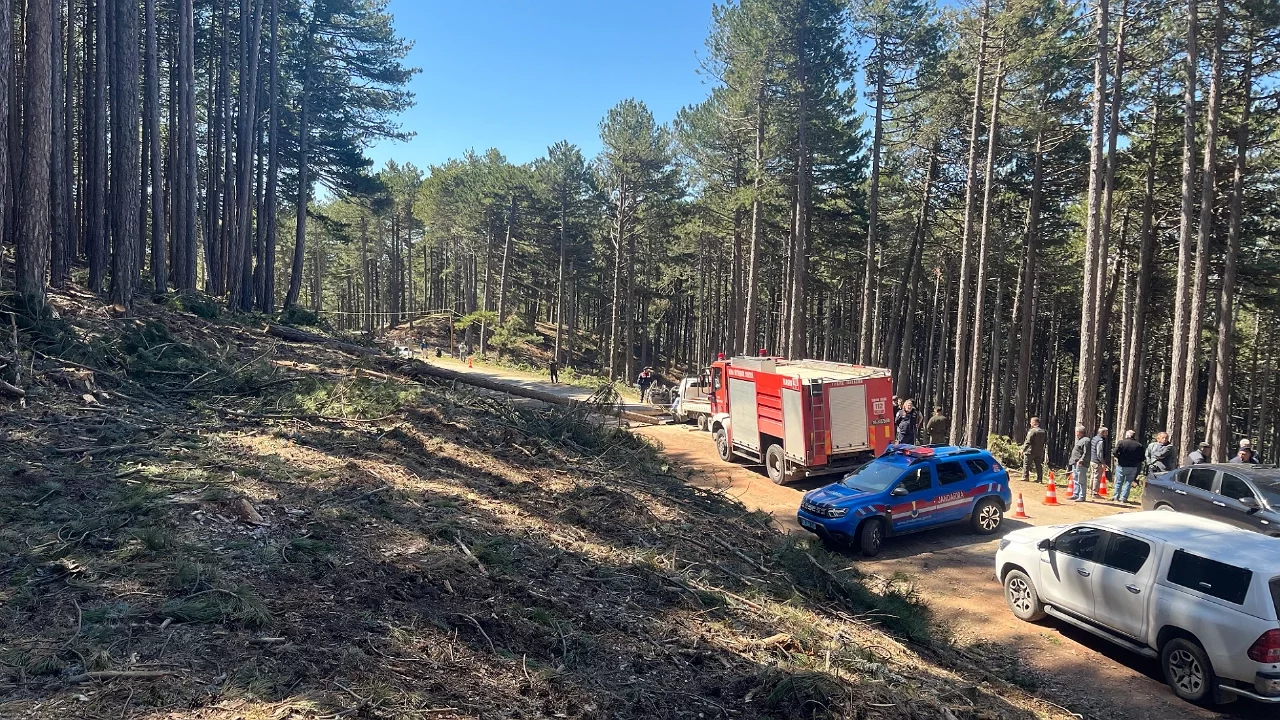 Uludağ'da kesilen ağaç kamyonetin üzerine düştü: 1 kişi hayatını kaybetti