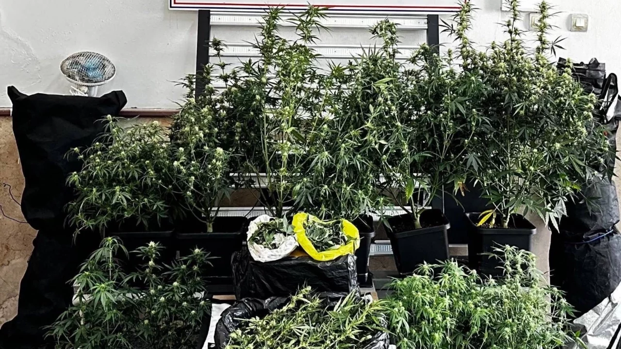 Bursa'da uyuşturucu operasyonu: Şüpheli tutuklandı