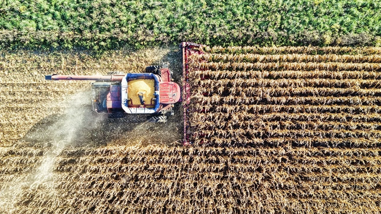 Tarım-ÜFE'de yıllık artış yüzde 42,53'e çıktı