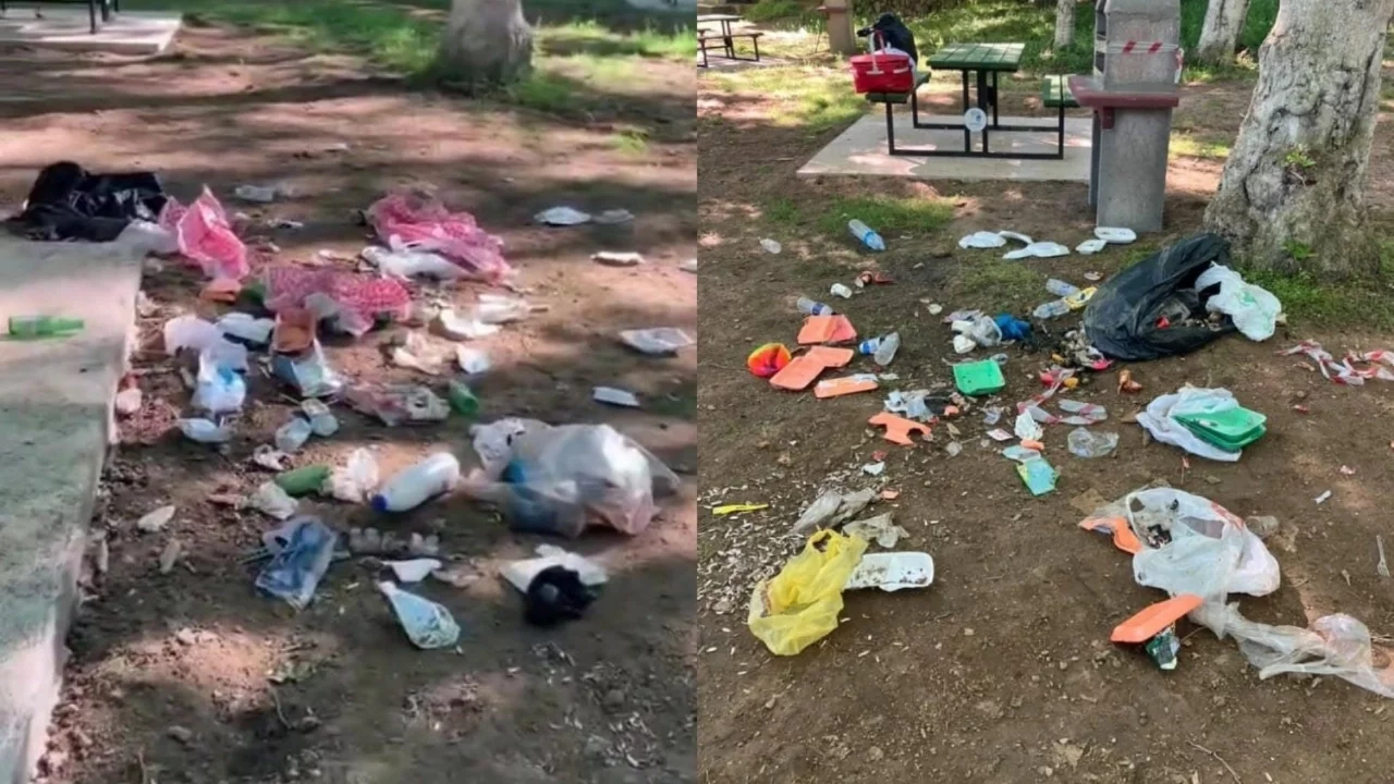 Bursa Karacabey'de piknik alanı çöplüğe döndü