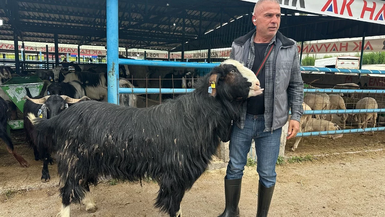 Bursa'da 120 kiloluk kurbanlık keçi 47 bin liraya satıldı