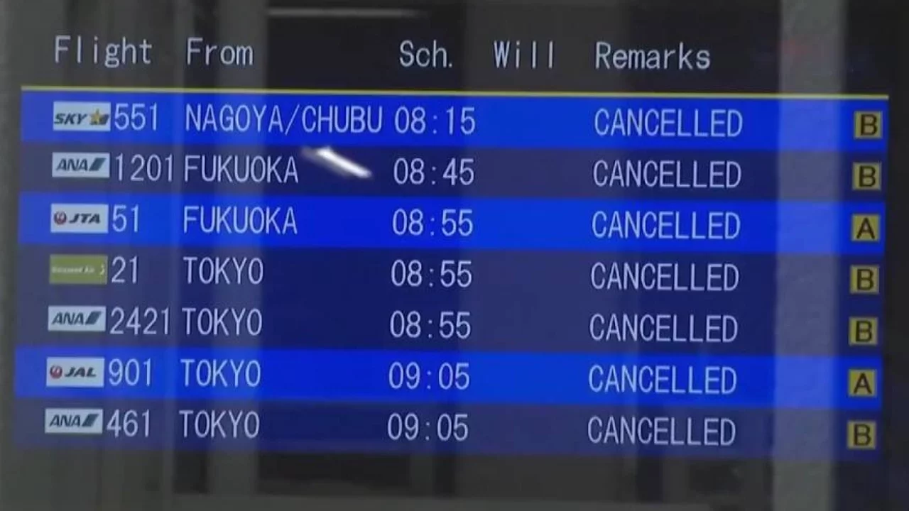 Jangmi Tayfunu Japonya'yı vurdu: Yüzlerce uçuş iptal edildi