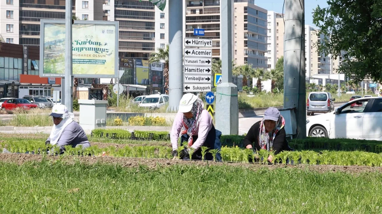 Bu yaz Osmangazi'de çiçek kokuları eksik olmayacak