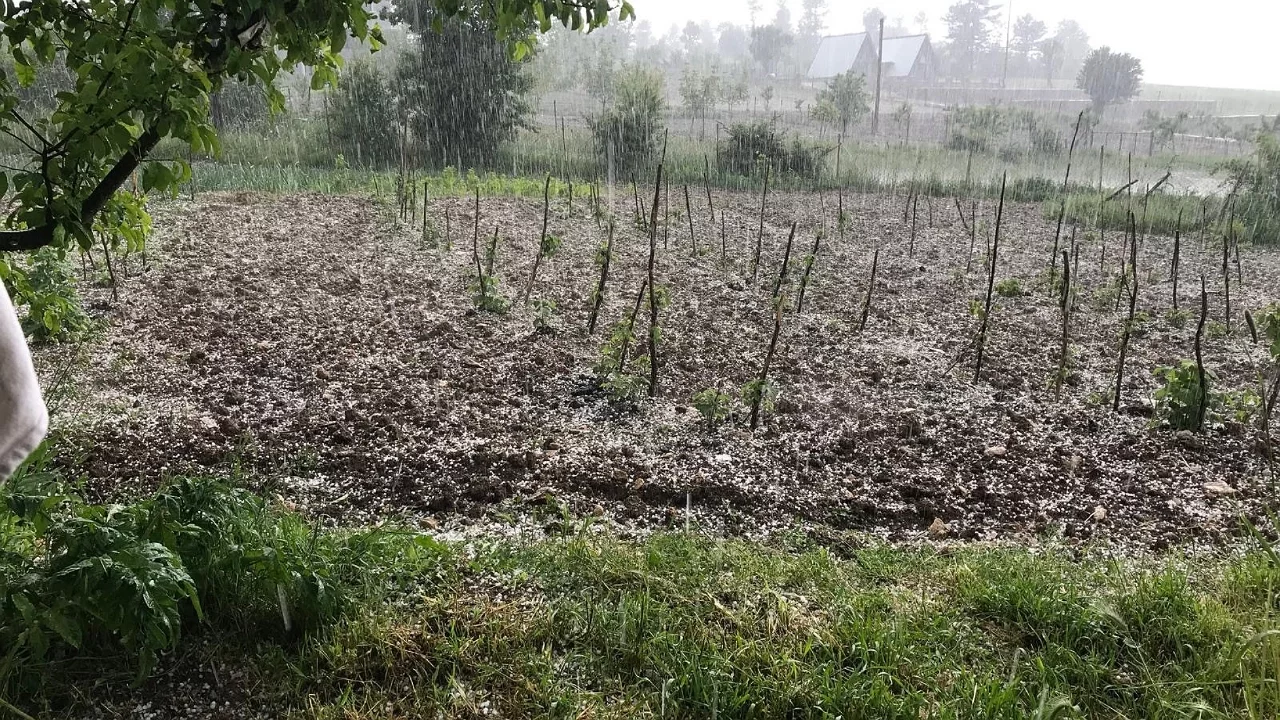 Bursa'da dolu tarım arazilerini vurdu