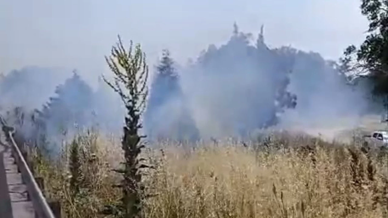 Bursa'da otluk alanda çıkan yangın kısa sürede söndürüldü