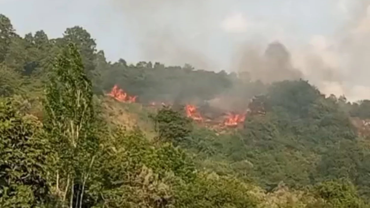 Bursa'da makilik alanda çıkan yangın korkuttu