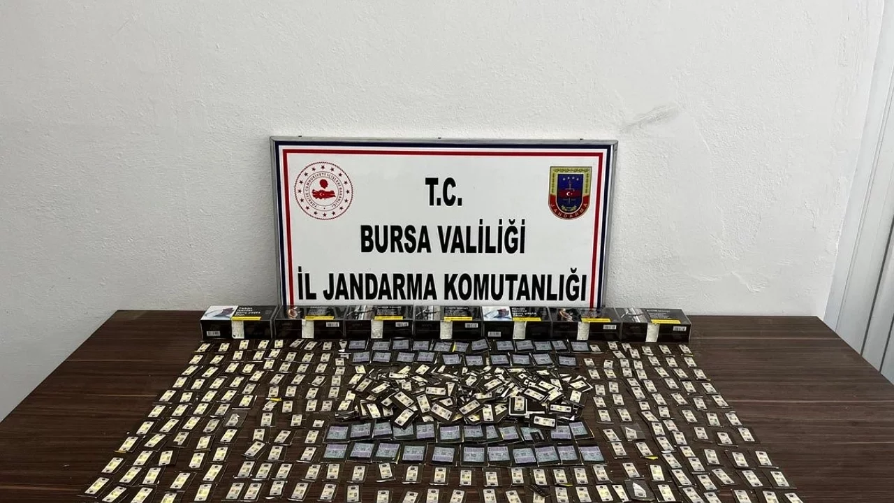 Bursa'da kaçak tütün operasyonu: Yüz binlerce makaron ele geçirildi