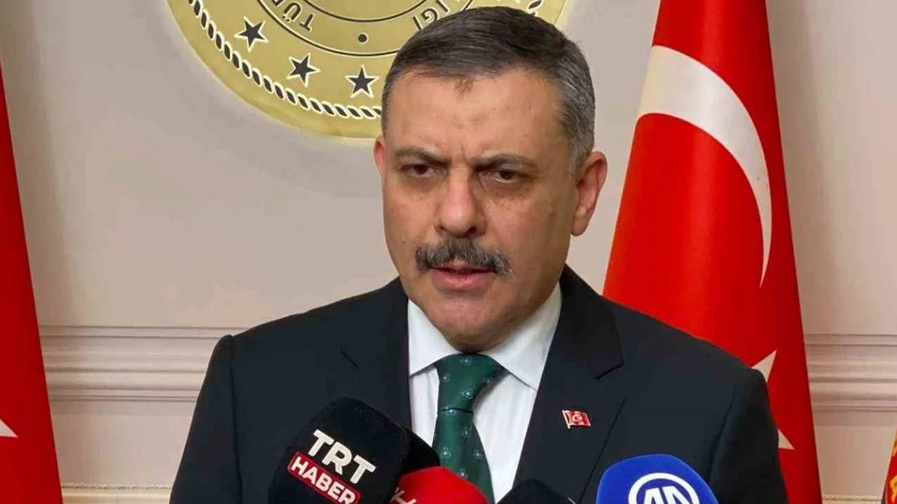Bakan Çiftçi: "Sokak köpeklerinin tamamı yıl sonuna kadar barınaklara alınacak"