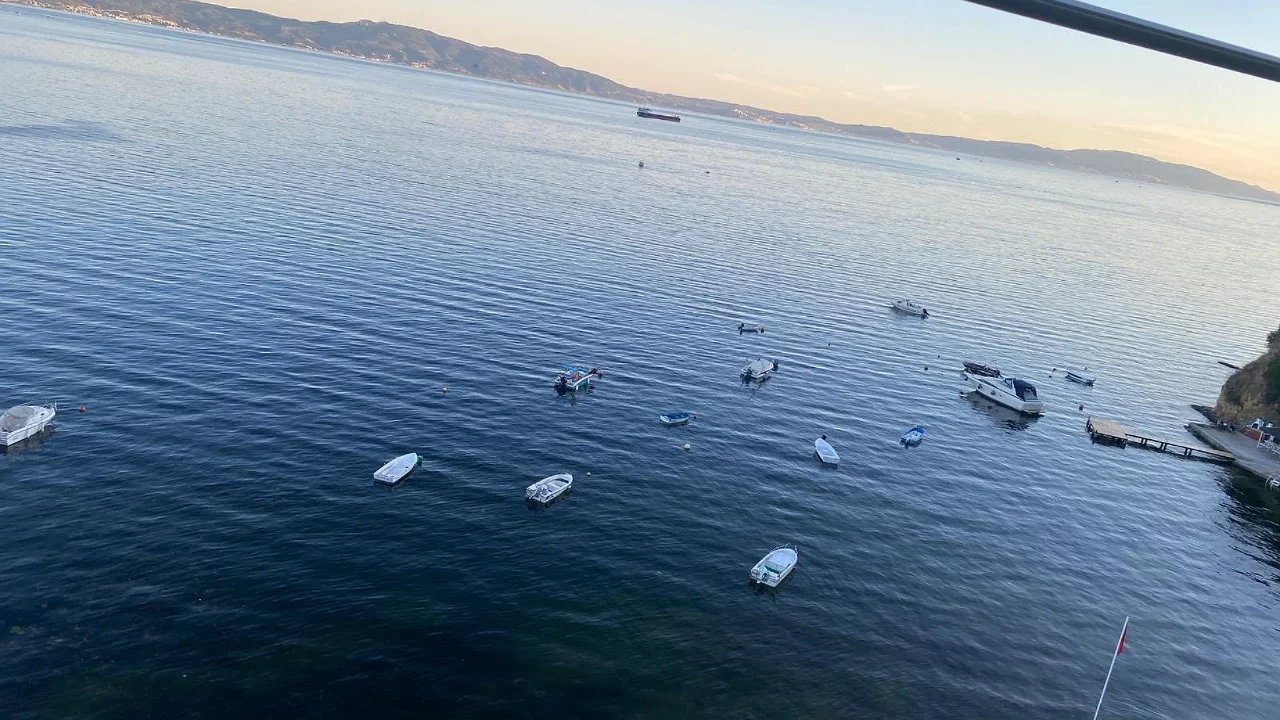 Gemlik Körfezi'nde sevindiren görüntü: Deniz yeniden temiz