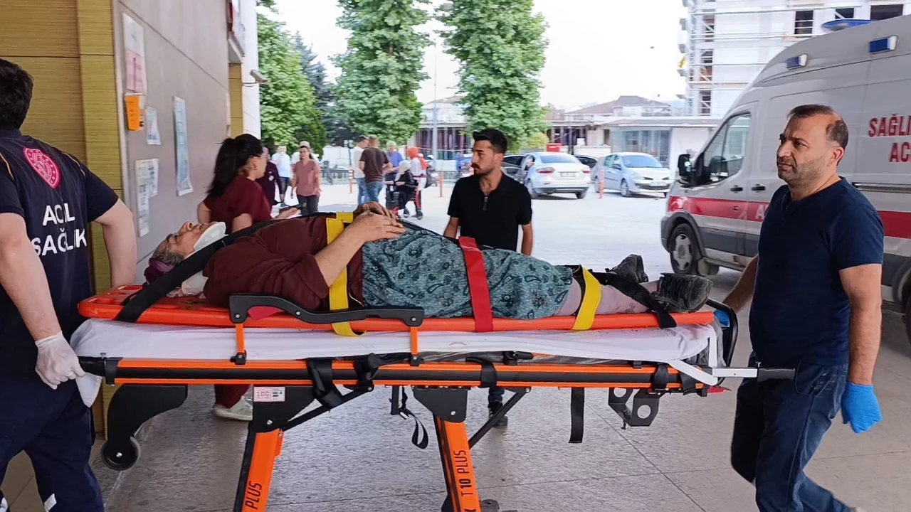 Bursa'da kiraz toplarken ağaçtan düştü