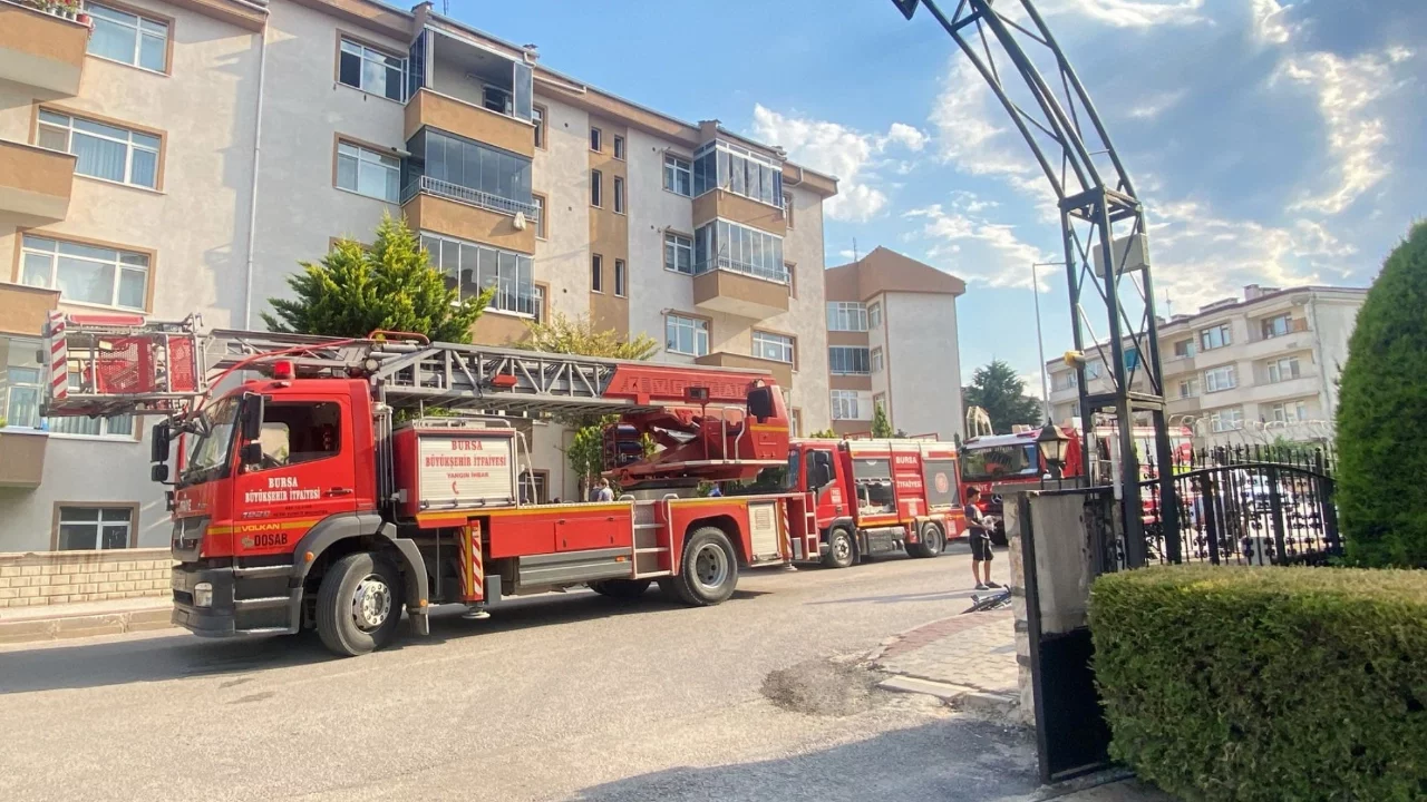 Bursa'da Yangında Mahsur Kalan Anne Kedi ve Yavruları İçin Seferber Oldular