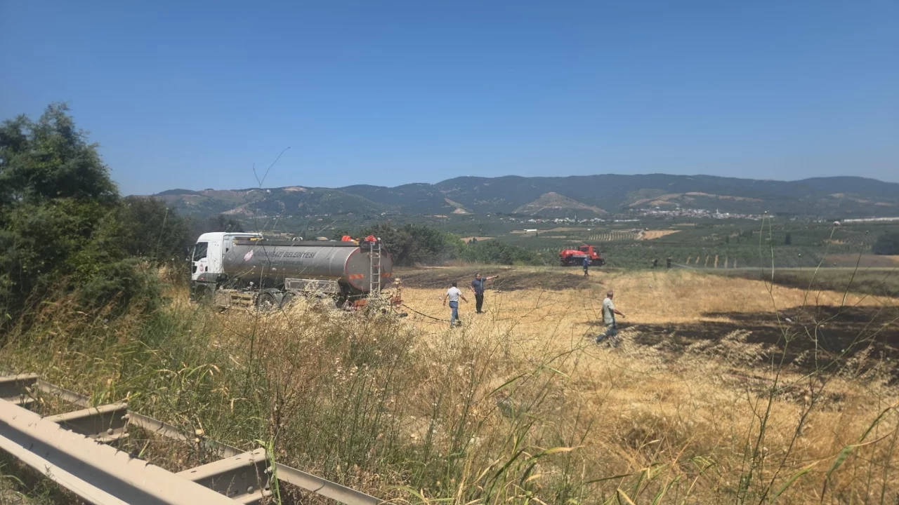 Bursa'da karayolu kenarında çıkan yangın bir saatte kontrol altına alındı