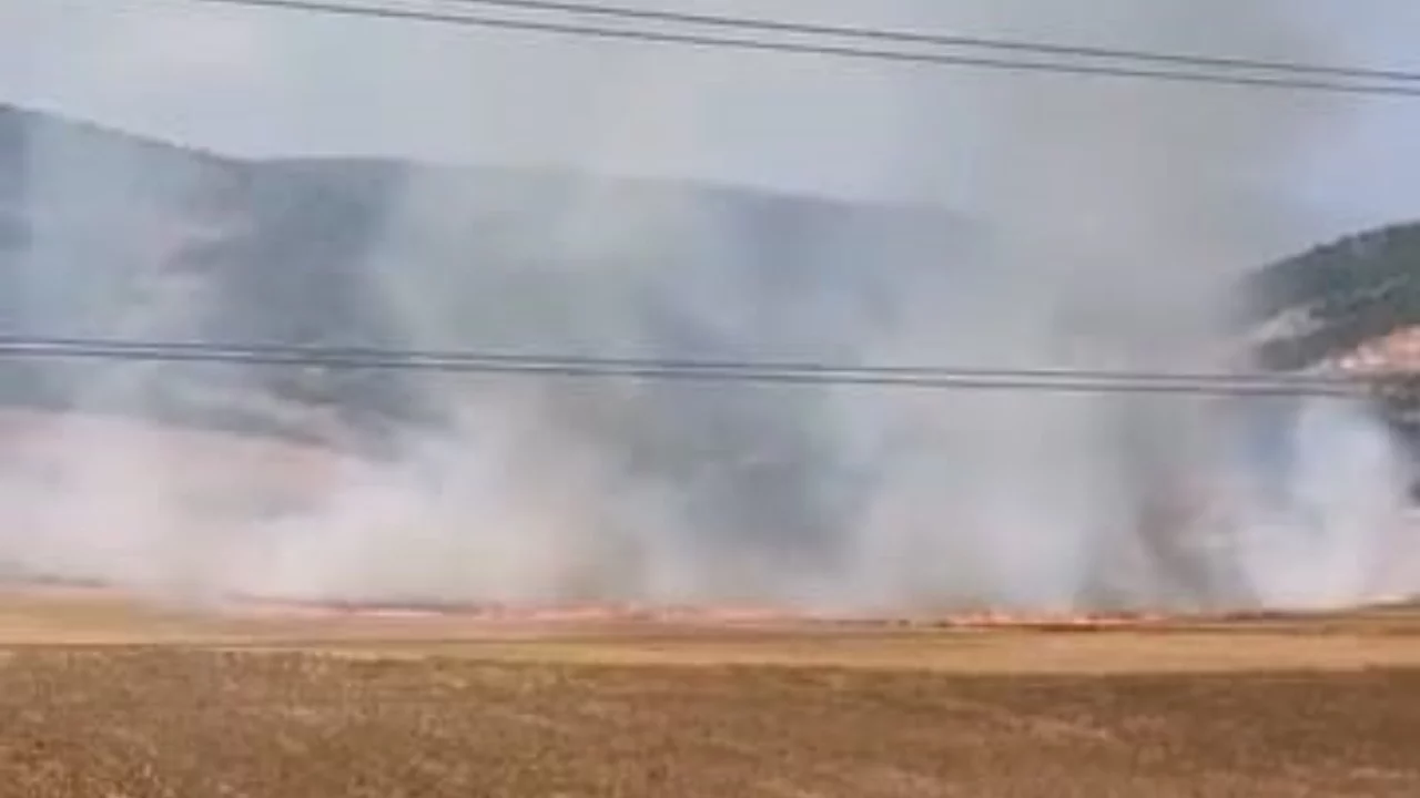 Bursa'da tarlayı ateşe verdiği iddia edilen 16 yaşındaki şüpheli yakalandı