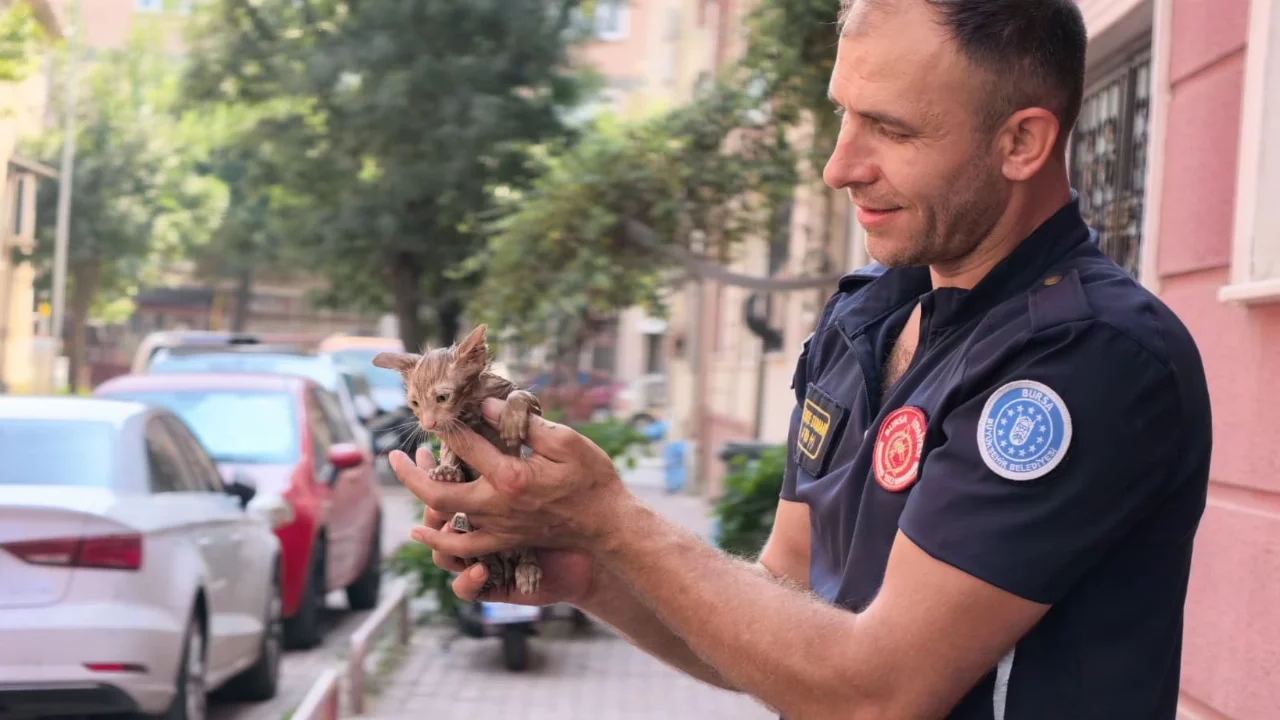 Bursa'da gider borusuna sıkışan yavru kedi itfaiye tarafından kurtarıldı