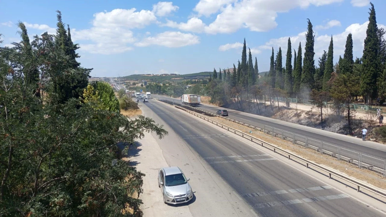 Bursa'da anız yangını İzmir yolunda trafiği durdurdu