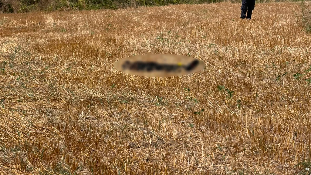 Bursa'da 15 gündür kayıp yaşlı adam tarlada ölü bulundu