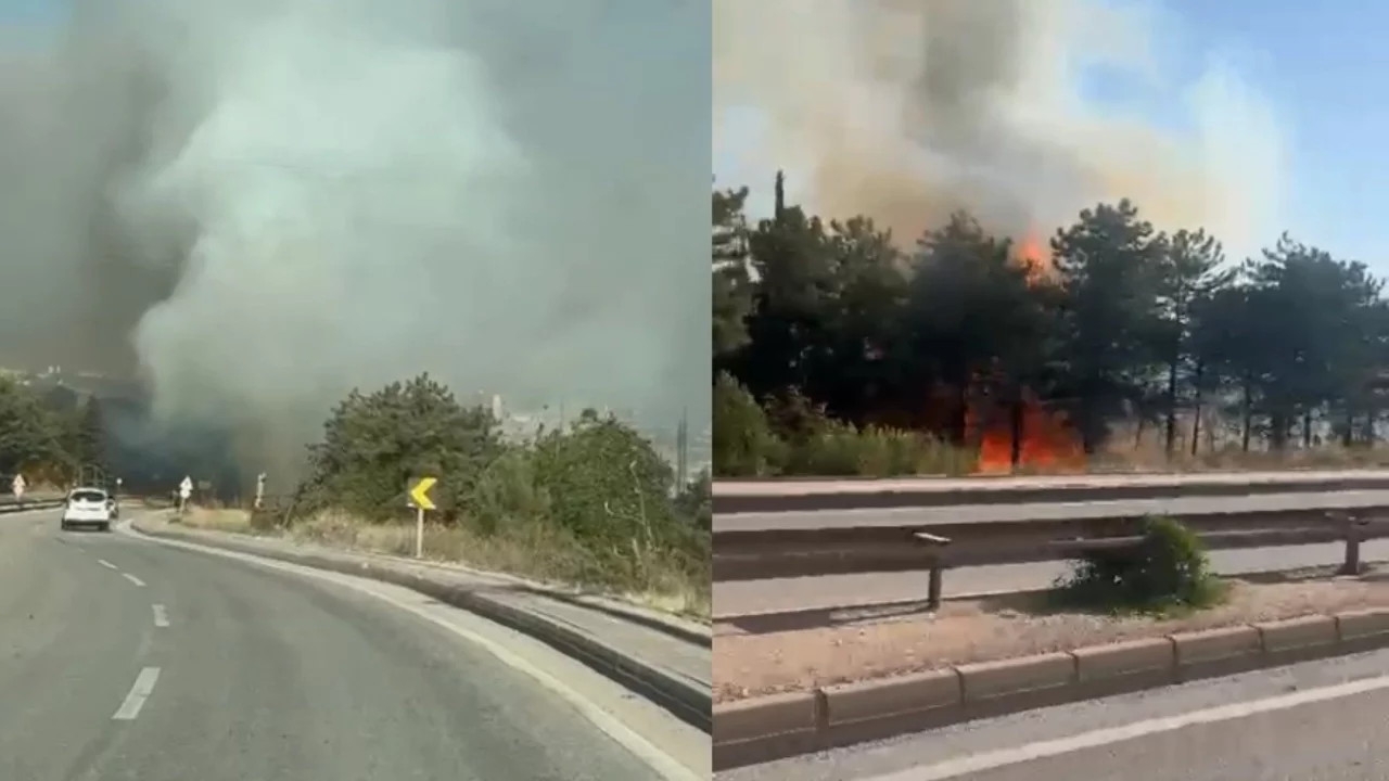 Bursa'da iki noktada orman yangını, ekipler seferber oldu