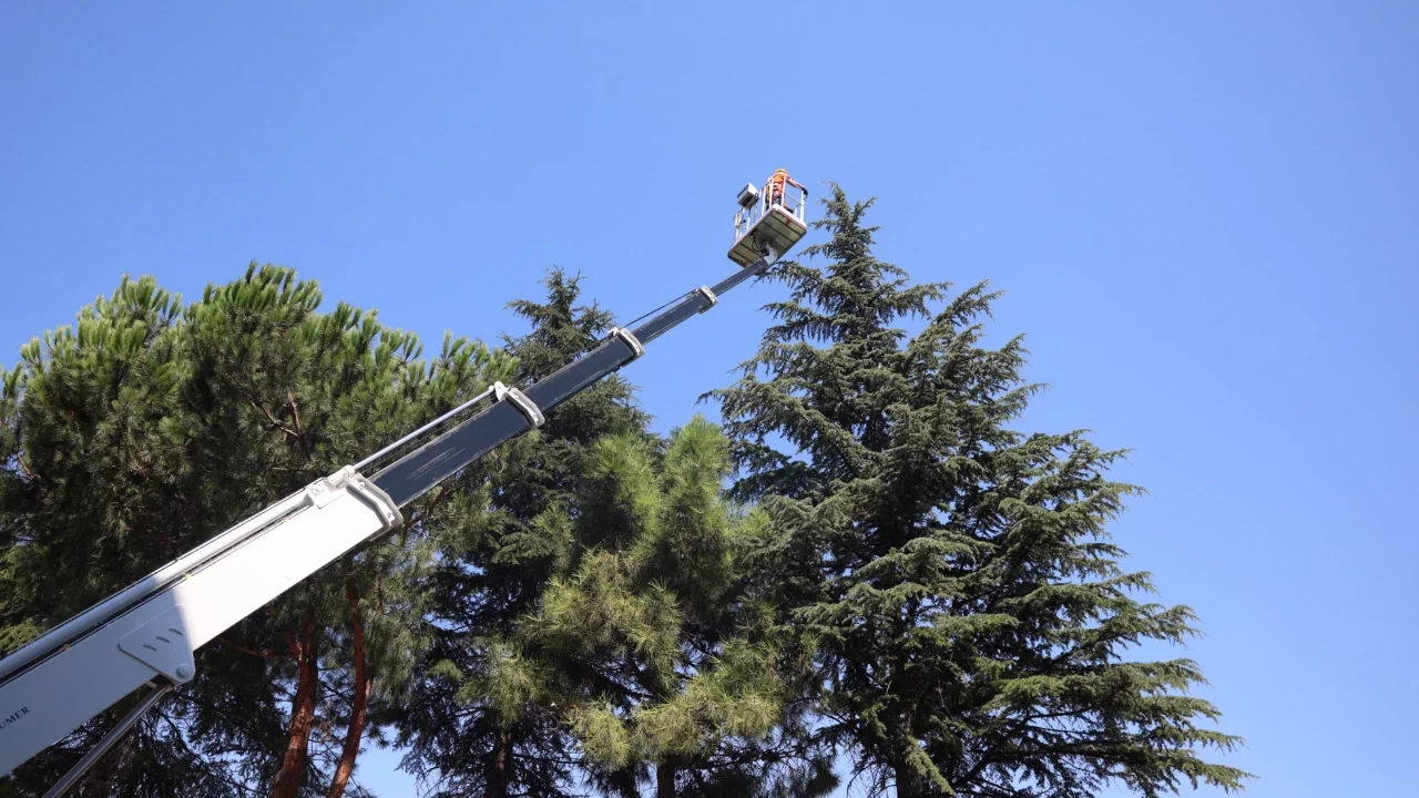 Osmangazi'de Yeşil Alanlar Titizlikle Korunuyor