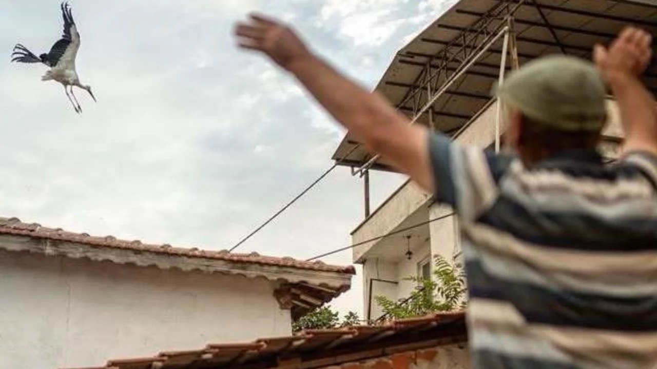 Yaren leyleğin Bursa'daki göçü Alper Tüydeş'i duygulandırdı