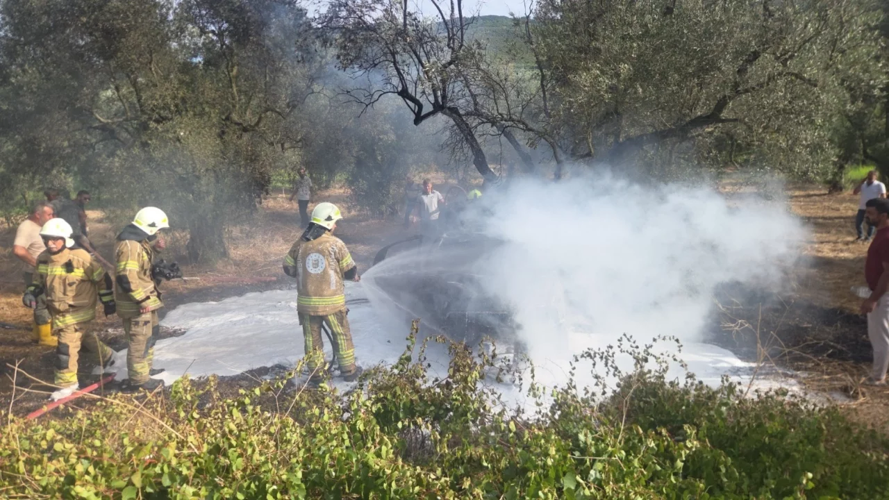 Bursa'da zeytinliğe uçan otomobil alev aldı: 1 ölü, 5 yaralı