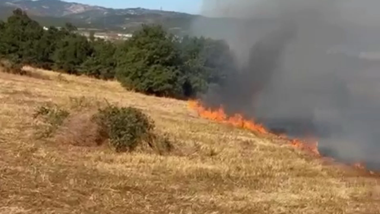 Bursa'da arazi yangını ekiplerin müdahalesiyle söndürüldü