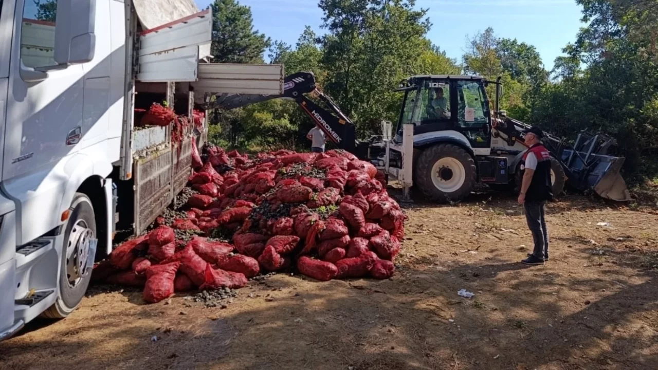 Bursa'da 8 ton midye ele geçirildi