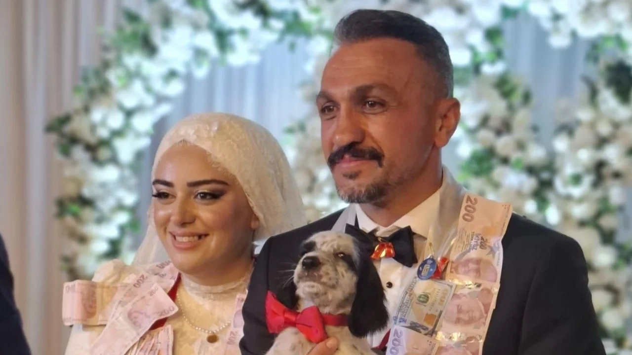 Düğünde sıra dışı hediye: Damat köpek yavrusuyla şaşırdı