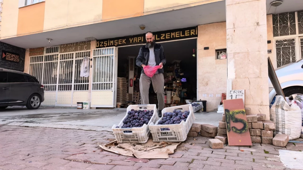 Bursa'da 10 ton eriği satamadı, vatandaşlara dağıtmaya başladı
