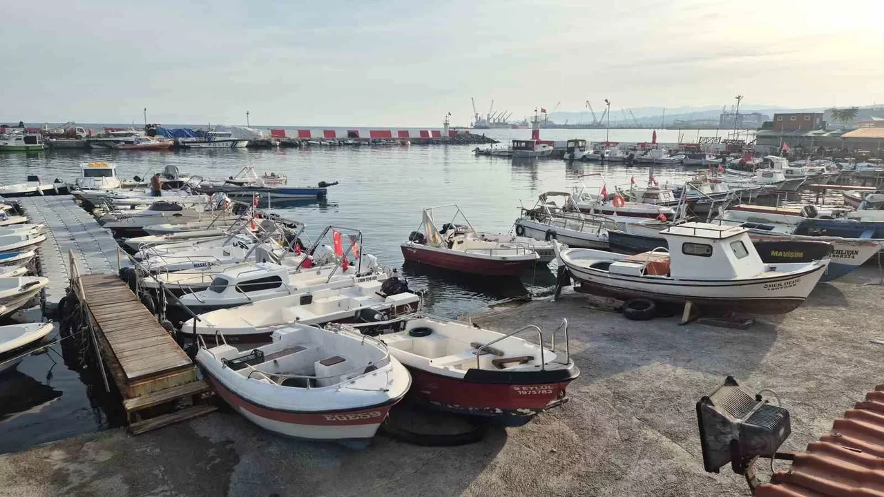 Tekirdağ’da palamut bolluğu: Büyük tekneler Karadeniz’e açıldı