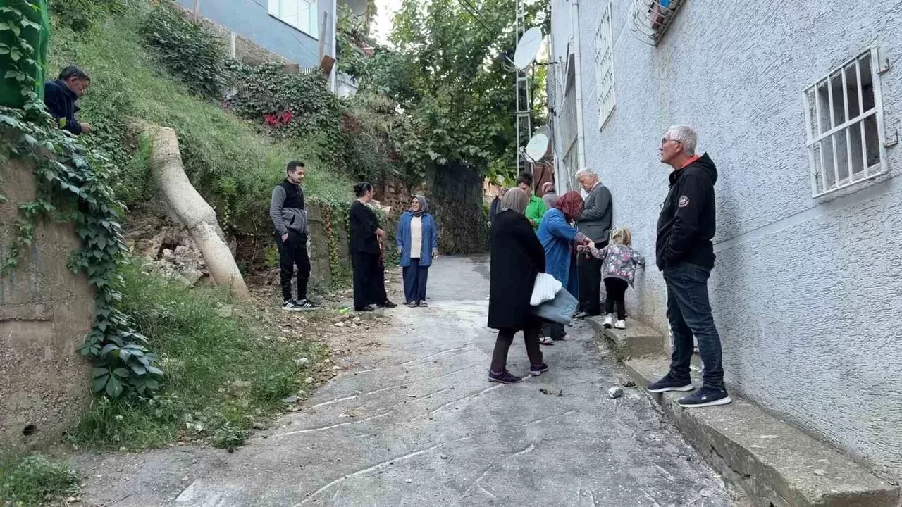 Bursa Yıldırım'da köpek çiftliği şikayeti: Mahalle ayakta