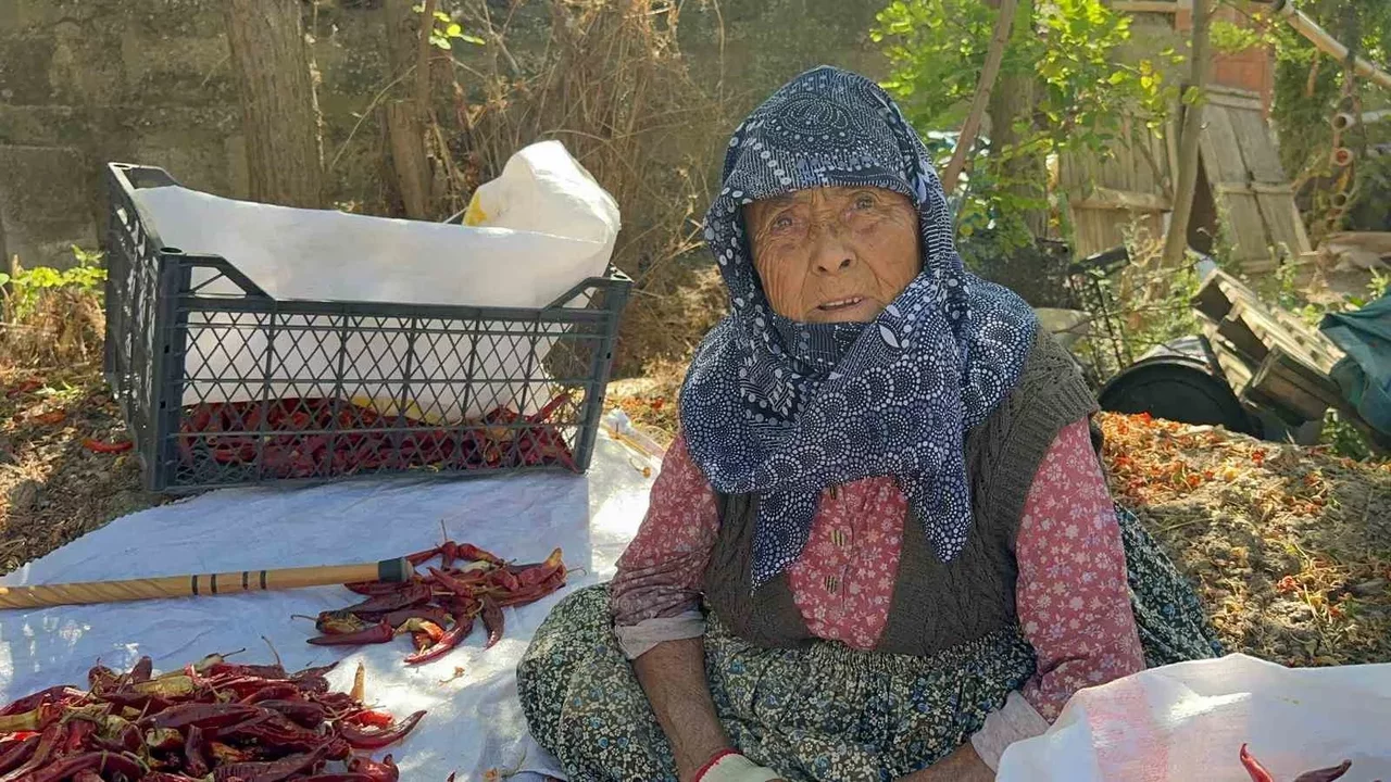 Karacabey’de 90 yaşındaki Şükriye İnan’dan acı biber mesaisi