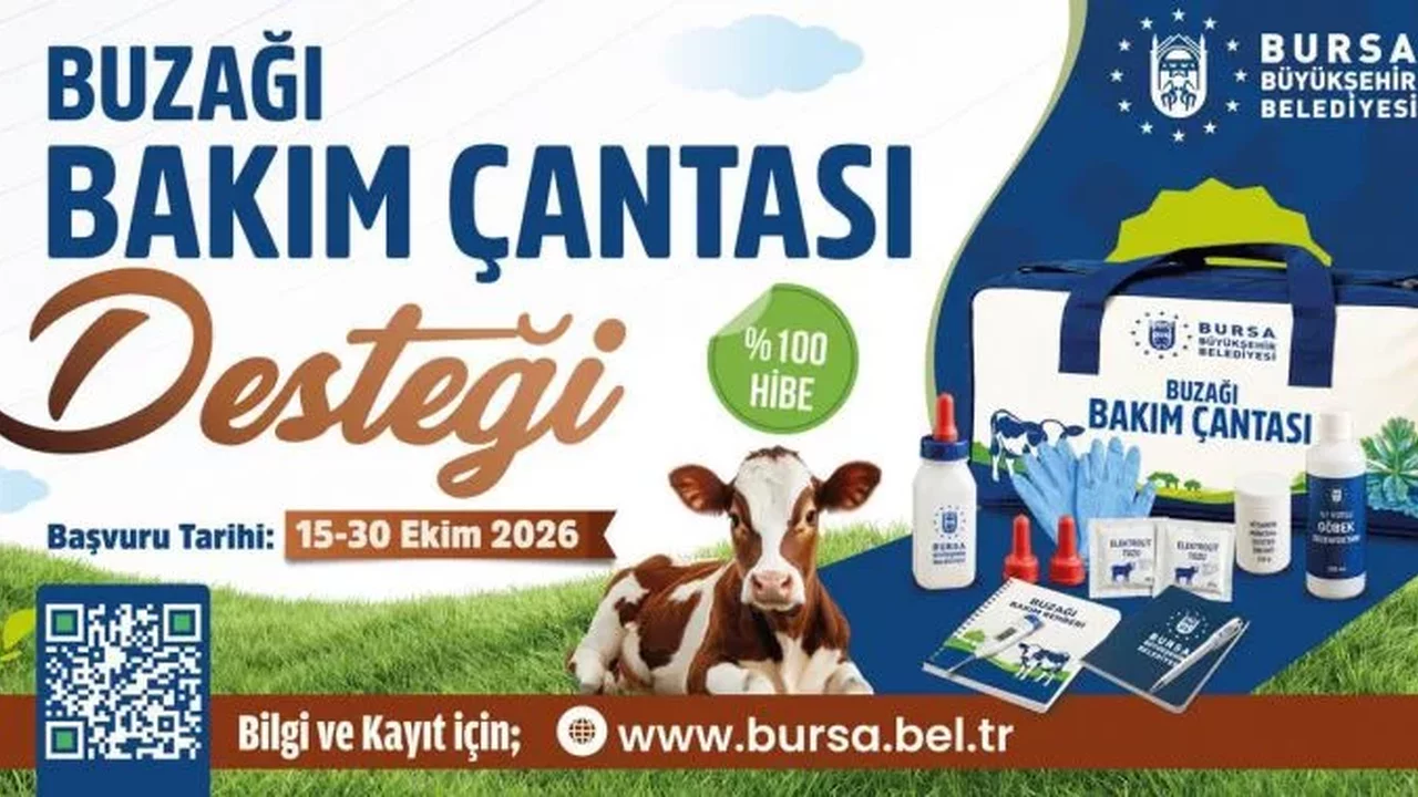 Bursa'da 1-10 büyükbaş hayvanı olanlara buzağı bakım çantası
