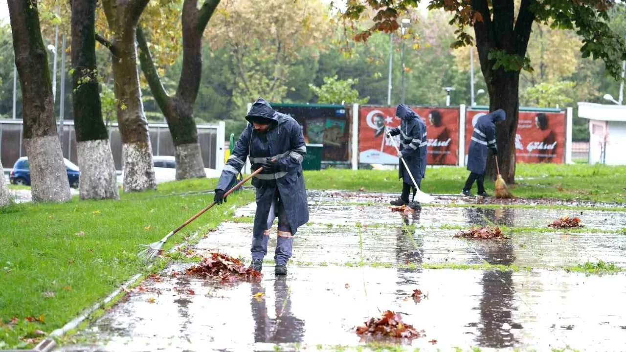 Osmangazi Belediyesi sonbahar yapraklarını komposta dönüştürüyor