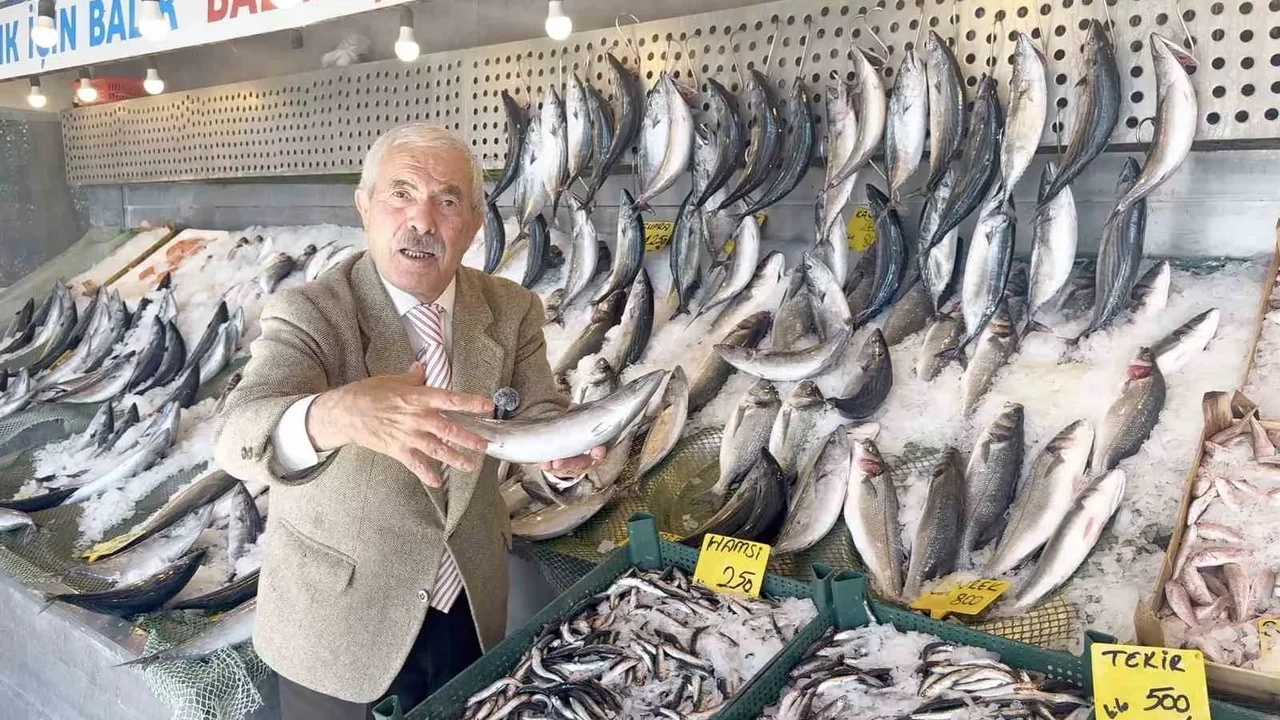 Palamutun kilosu 100 TL’ye düştü: Son 25 yılın bereketi